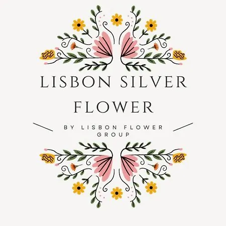 בית הארחה Silver Flower - Flat In Center 3*