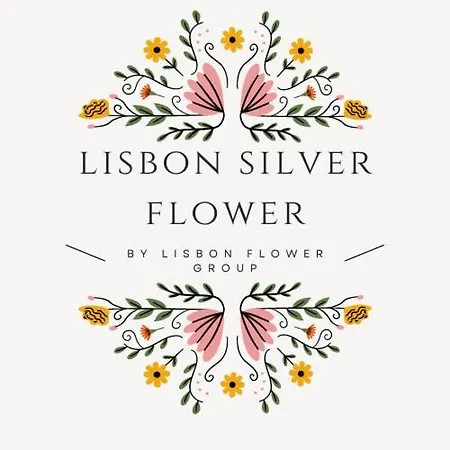Gasthof Silver Flower - Flat In Center 3*