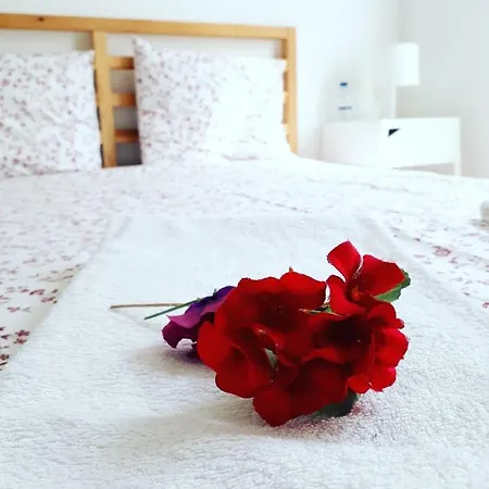 Silver Flower - Flat In Center 3* Lissabon